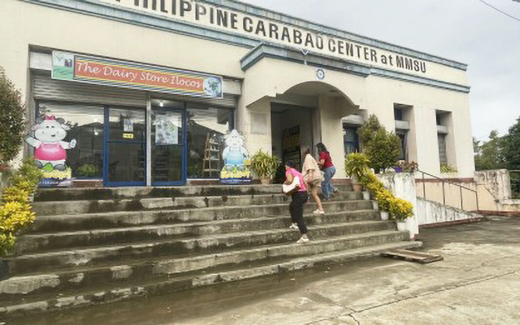dairy-store-ilocos