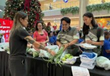 212 Ilocano farmers graduate from sustainable agri program