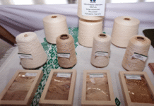 Ilocos Norte to open first regional yarn production and innovation center